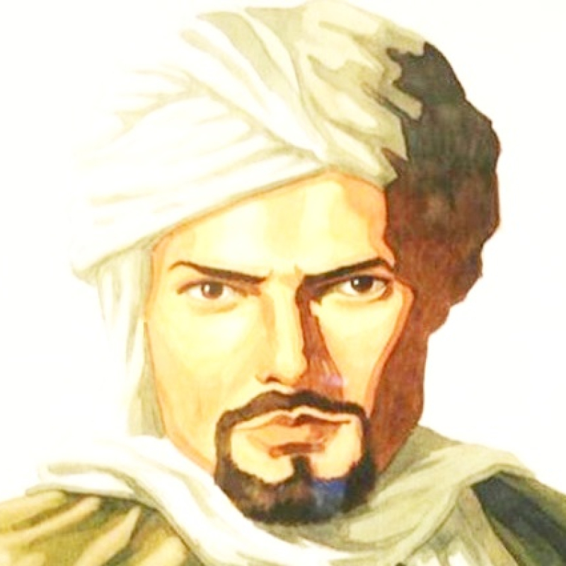 Art N Soul Passage To The Past The Travels Of Ibn Battuta Sahapedia   Ibn Battuta Wikimedia Commons 